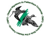 ompo logo