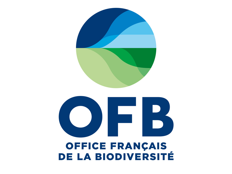 logo-ofb-actualite